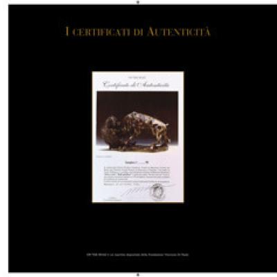 Marcelli Brochure 14