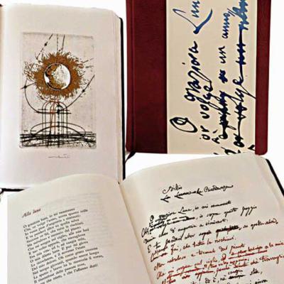 Marcelli Brochure 19